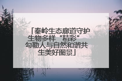 秦岭生态廊道守护生物多样“精彩” 勾勒人与自然和谐共生美好图景
