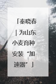 秦晓春｜为山东小麦育种安装“加速器”