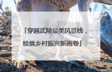 穿越武陵最美风景线，绘就乡村振兴新画卷
