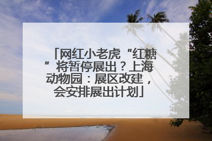 网红小老虎“红糖”将暂停展出？上海动物园：展区改建，会安排展出计划