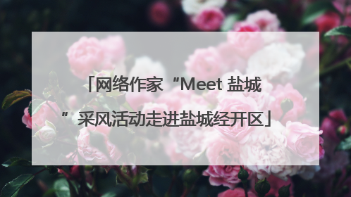 网络作家“Meet 盐城”采风活动走进盐城经开区