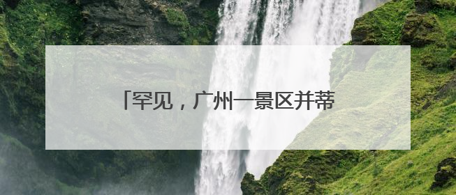 罕见，广州一景区并蒂莲与三蒂莲同时盛放