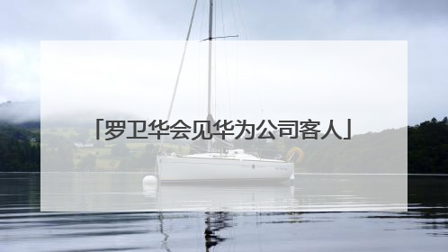 罗卫华会见华为公司客人