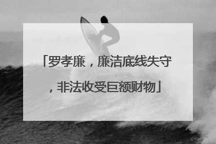 罗孝廉，廉洁底线失守，非法收受巨额财物
