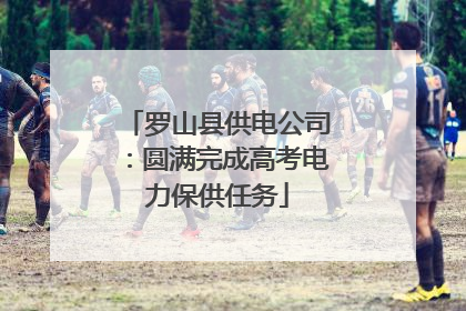 罗山县供电公司：圆满完成高考电力保供任务
