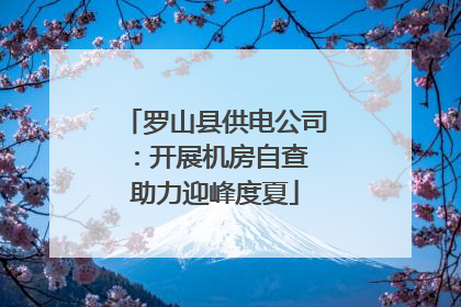 罗山县供电公司：开展机房自查 助力迎峰度夏