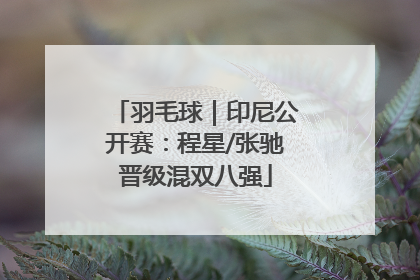 羽毛球｜印尼公开赛：程星/张驰晋级混双八强