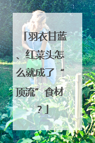 羽衣甘蓝、红菜头怎么就成了“顶流”食材？