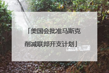 美国会批准马斯克削减联邦开支计划