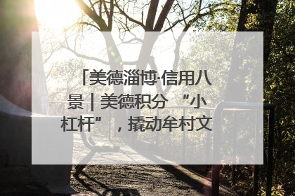 美德淄博·信用八景｜美德积分 “小杠杆”，撬动牟村文明 “大能量”