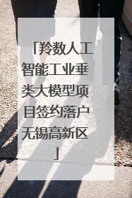 羚数人工智能工业垂类大模型项目签约落户无锡高新区