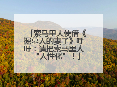 索马里大使借《掘墓人的妻子》呼吁：请把索马里人“人性化”！