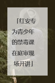 红安专为青少年的禁毒课在庭审现场开讲