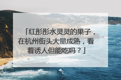 红彤彤水灵灵的果子，在杭州街头大量成熟，看着诱人但能吃吗？