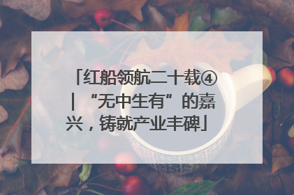红船领航二十载④｜“无中生有”的嘉兴，铸就产业丰碑