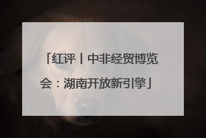 红评丨中非经贸博览会：湖南开放新引擎