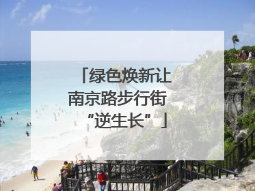 绿色焕新让南京路步行街“逆生长”