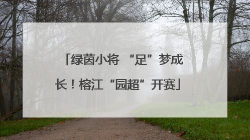 绿茵小将 “足”梦成长！榕江“园超”开赛