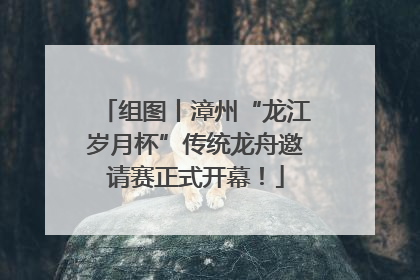 组图丨漳州“龙江岁月杯”传统龙舟邀请赛正式开幕！