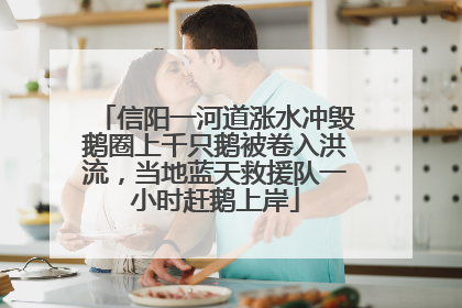 信阳一河道涨水冲毁鹅圈上千只鹅被卷入洪流，当地蓝天救援队一小时赶鹅上岸