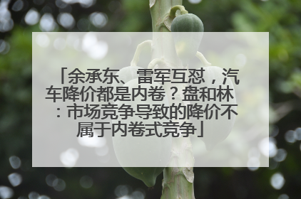 余承东、雷军互怼，汽车降价都是内卷？盘和林：市场竞争导致的降价不属于内卷式竞争