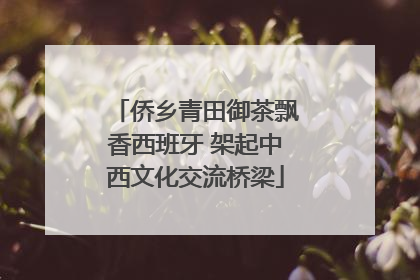 侨乡青田御茶飘香西班牙 架起中西文化交流桥梁