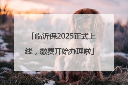 临沂保2025正式上线，缴费开始办理啦