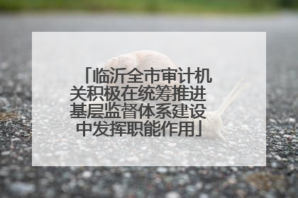临沂全市审计机关积极在统筹推进基层监督体系建设中发挥职能作用