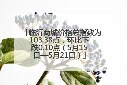 临沂商城价格总指数为103.38点，环比下跌0.10点（5月15日—5月21日）