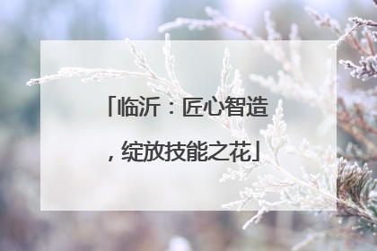 临沂：匠心智造，绽放技能之花