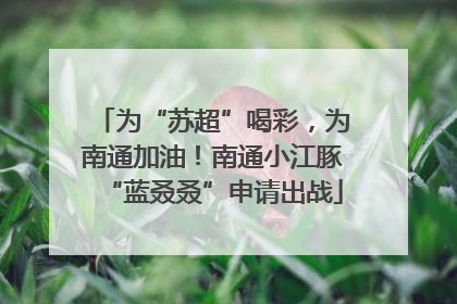 为“苏超”喝彩，为南通加油！南通小江豚“蓝叒叒”申请出战