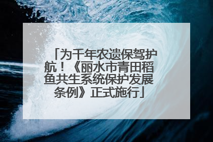 为千年农遗保驾护航！《丽水市青田稻鱼共生系统保护发展条例》正式施行