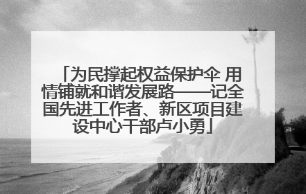 为民撑起权益保护伞 用情铺就和谐发展路——记全国先进工作者、新区项目建设中心干部卢小勇