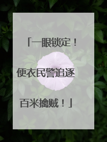 一眼锁定！便衣民警追逐百米擒贼！