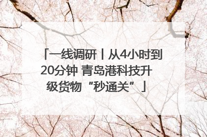 一线调研丨从4小时到20分钟 青岛港科技升级货物“秒通关”