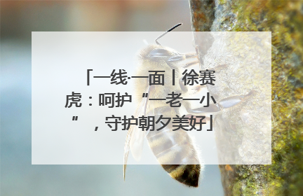一线·一面丨徐赛虎：呵护“一老一小”，守护朝夕美好