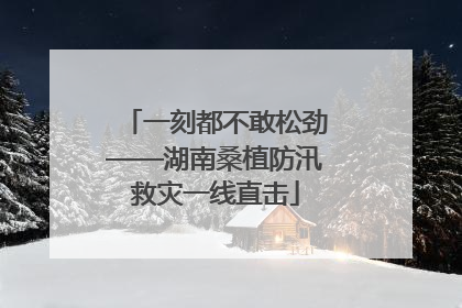 一刻都不敢松劲——湖南桑植防汛救灾一线直击