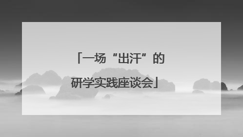 一场“出汗”的研学实践座谈会