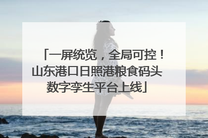 一屏统览，全局可控！山东港口日照港粮食码头数字孪生平台上线