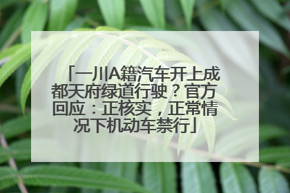 一川A籍汽车开上成都天府绿道行驶？官方回应：正核实，正常情况下机动车禁行