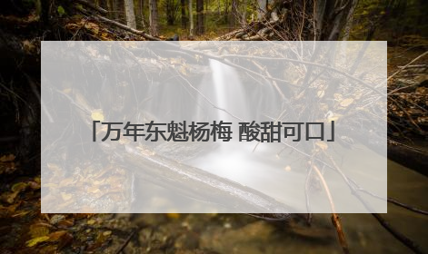 万年东魁杨梅 酸甜可口