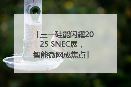 三一硅能闪耀2025 SNEC展，智能微网成焦点