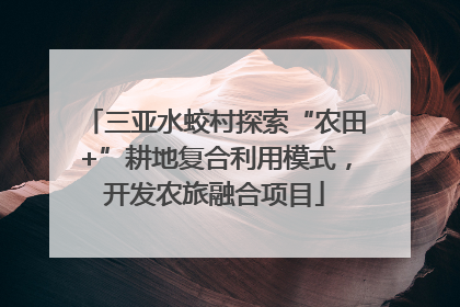 三亚水蛟村探索“农田+”耕地复合利用模式，开发农旅融合项目