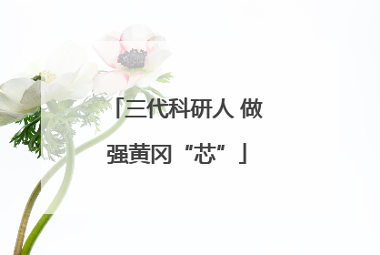 三代科研人 做强黄冈“芯”
