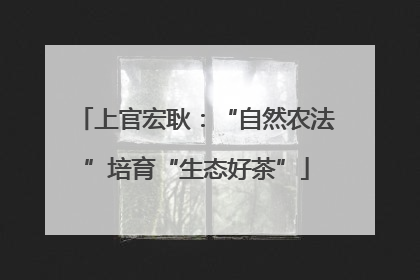 上官宏耿：“自然农法”培育“生态好茶”