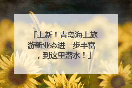 上新！青岛海上旅游新业态进一步丰富，到这里潜水！