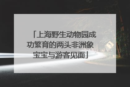 上海野生动物园成功繁育的两头非洲象宝宝与游客见面