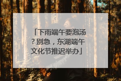 下雨端午要泡汤？别急，东湖端午文化节推迟举办