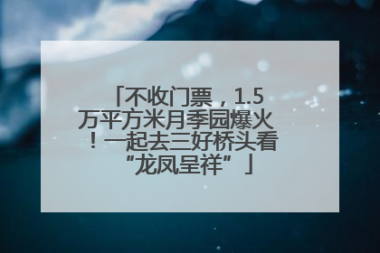不收门票，1.5万平方米月季园爆火！一起去三好桥头看“龙凤呈祥”