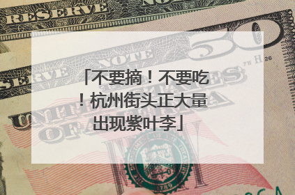 不要摘！不要吃！杭州街头正大量出现紫叶李